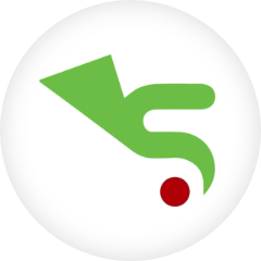 StellR IT Logo